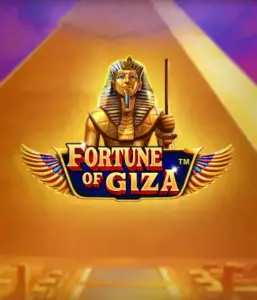 Отправьтесь назад во времени к древнего Египта с слотом Fortune of Giza от Pragmatic Play, показывающим захватывающую графику пирамид Гизы, древних богов и иероглифов. Испытайте это историческое приключение, которое предоставляет динамичные бонусы вроде бесплатных вращений, вайлд мультипликаторов и расширяющихся символов. Идеально для любителей истории, нацеленных на большие выигрыши среди тайны древнего Египта.